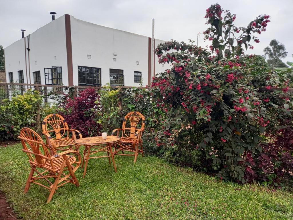 The Plantains Place Karatina Εξωτερικό φωτογραφία